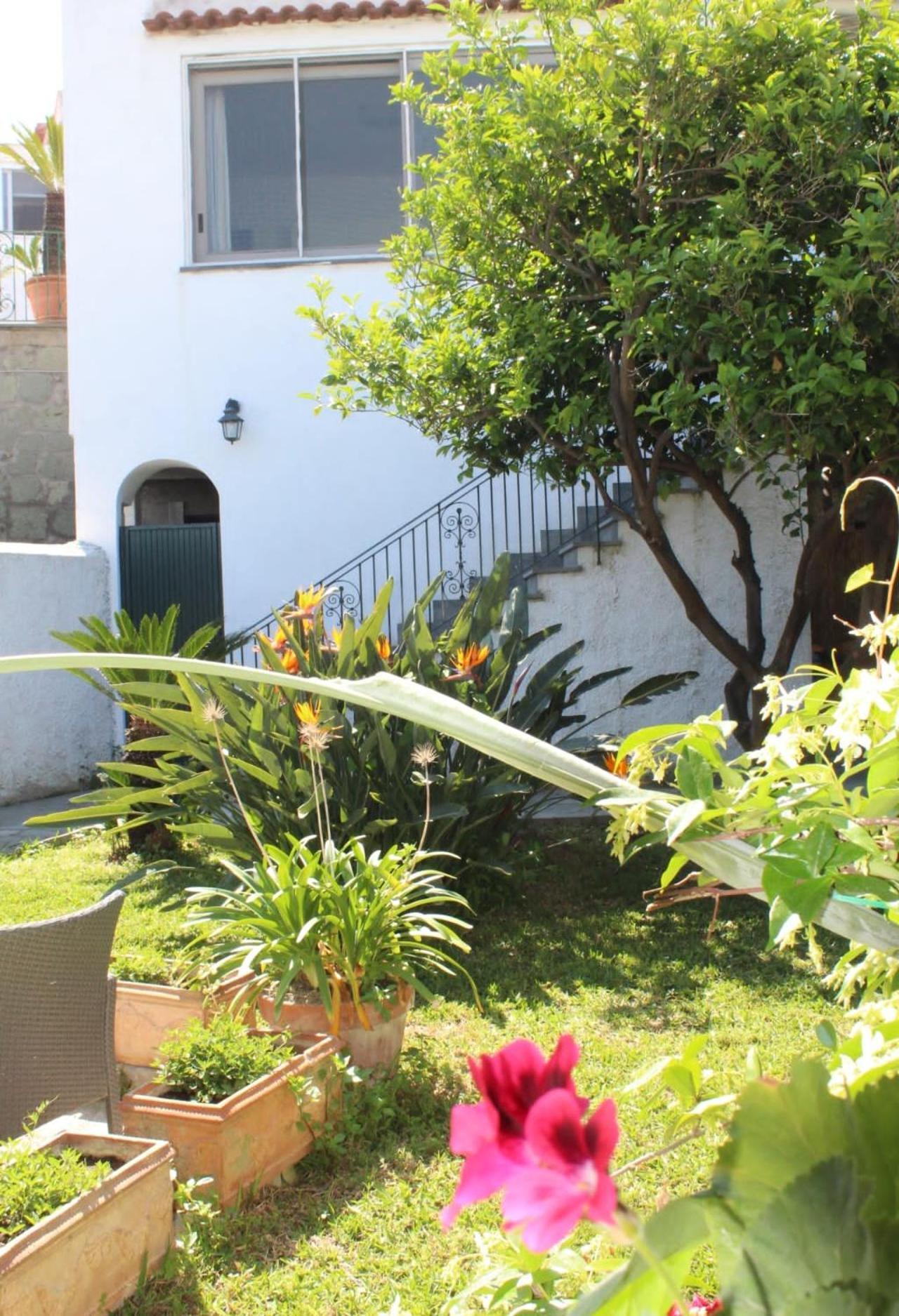 Chez Marie Ischia Villa Bagian luar foto